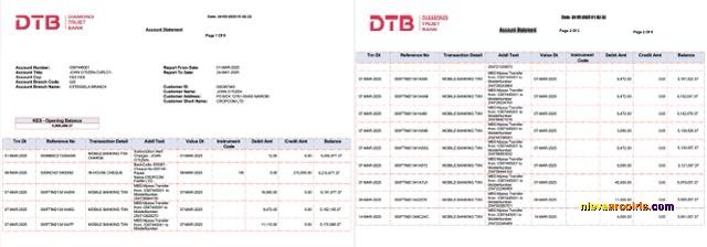 Kenya Diamond Trust Bank account statement Word and PDF, 2 pages